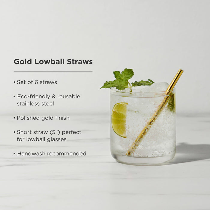 Belmont Lowball Straws Set of 6