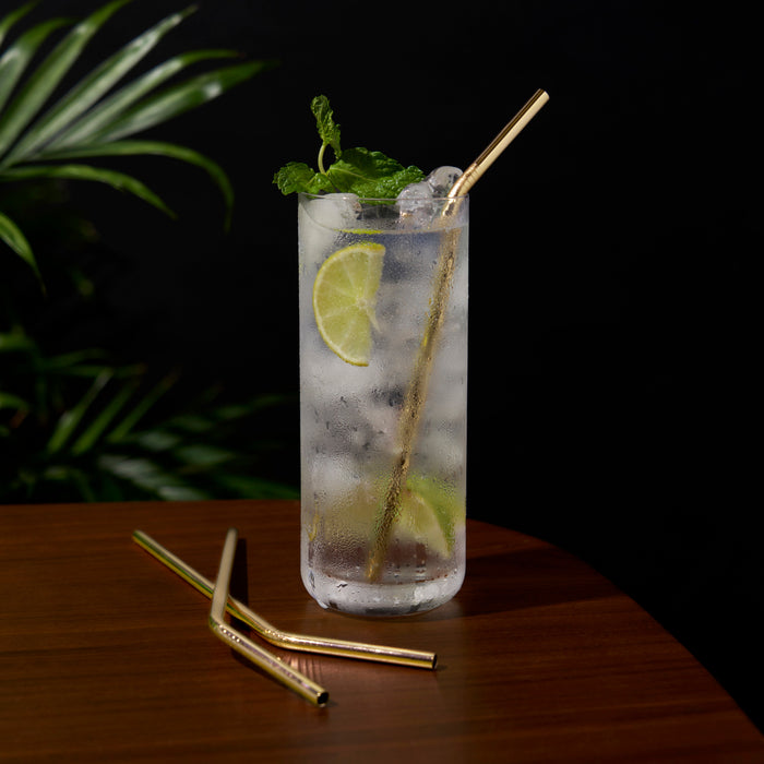 Belmont Cocktail Straws Set of 4